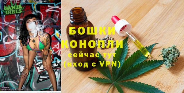 сатива Краснослободск