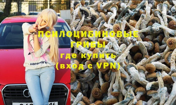 сатива Краснослободск