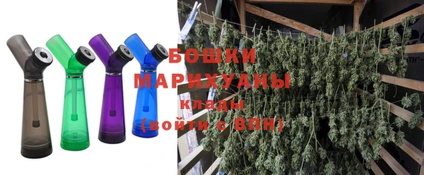 СК Коряжма