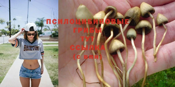 Альфа ПВП Корсаков
