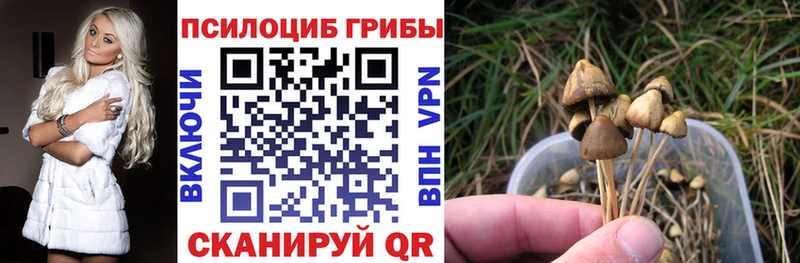 цена наркотик  это формула  KRAKEN зеркало  Галлюциногенные грибы Psilocybine cubensis  Сергач 